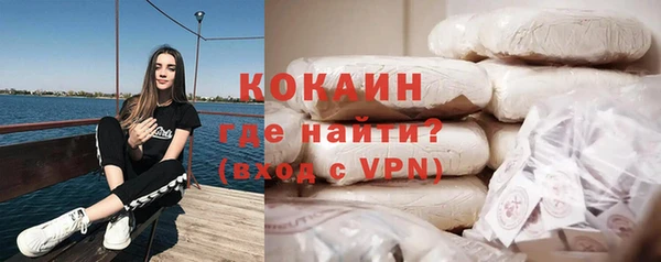 шишки Абаза