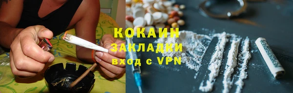 шишки Абаза