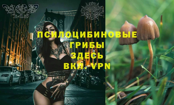 каннабис Абинск