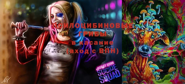 герыч Алексеевка
