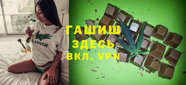шишки Абаза