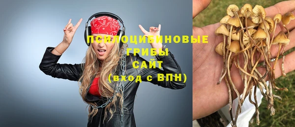 альфа пвп Нея