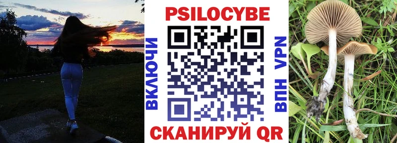 где найти наркотики Новосиль Псилоцибиновые грибы ЛСД