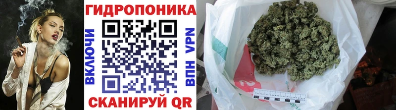 Бошки марихуана OG Kush Новосиль